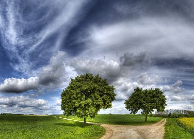 landscapes, trees, skyscapes - desktop wallpaper