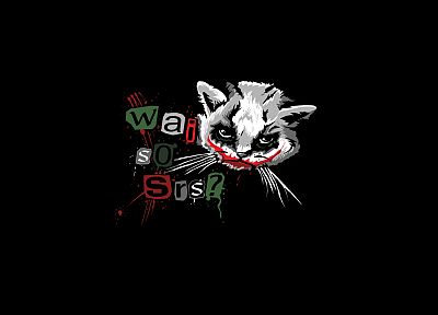 The Joker, kittens, Why So Serious? - random desktop wallpaper