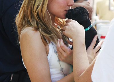 Kristen Bell, celebrity, puppies - duplicate desktop wallpaper