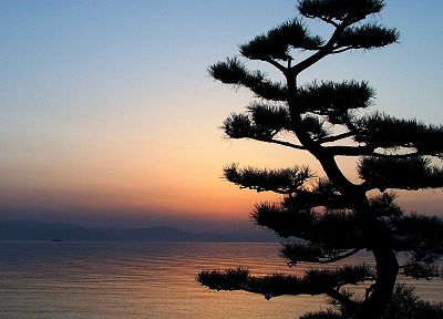 sunset, Japan, landscapes, nature, trees, silhouettes, lakes - related desktop wallpaper