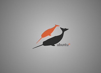 nature, Ubuntu, operating systems, whales, narwhal, Ubuntu 11.04 Natty Narwhal - related desktop wallpaper