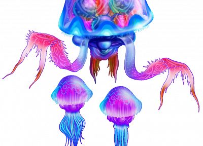animals, jellyfish, artwork - related desktop wallpaper