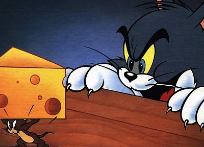 cheese, Tom (cartoon), Tom And Jerry - random desktop wallpaper