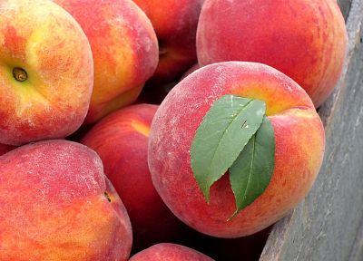fruits, peaches - desktop wallpaper
