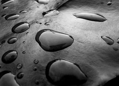 water, wet, monochrome, water drops, greyscale - desktop wallpaper