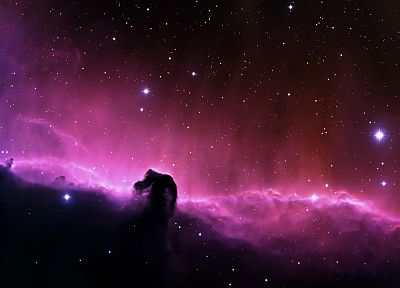 outer space, nebulae, Horsehead Nebula - desktop wallpaper