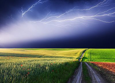 storm, grass - random desktop wallpaper