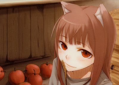 Spice and Wolf, anime, Holo The Wise Wolf - desktop wallpaper