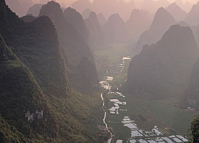 mountains, trees, forests, valleys, mist, Asia, Thailand, farms - desktop wallpaper