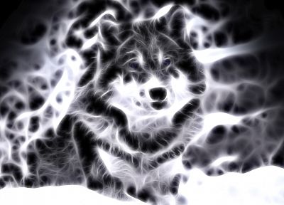 Fractalius, wolves - desktop wallpaper