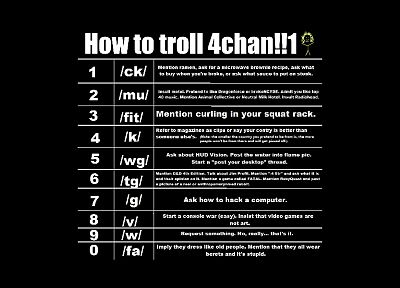 text, monochrome, how-tos, trolls, 4chan - random desktop wallpaper