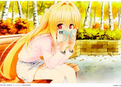 To Love Ru, Golden Darkness, anime girls - desktop wallpaper