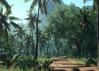 nature, roads, palm trees - desktop wallpaper