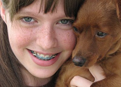 close-up, animals, dogs, freckles, braces - related desktop wallpaper