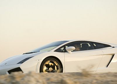 cars, Lamborghini Gallardo - duplicate desktop wallpaper