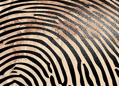 fingerprints - desktop wallpaper