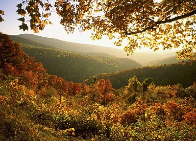 autumn, National Park, shenandoah - random desktop wallpaper
