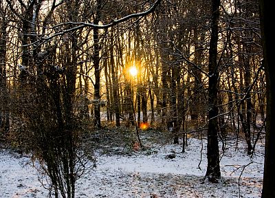 sunset, landscapes, winter, Sun, forests - desktop wallpaper