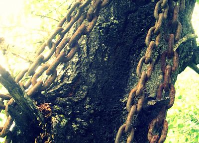 trees, chains - desktop wallpaper