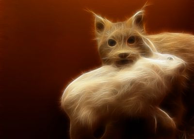 cats, Fractalius - random desktop wallpaper