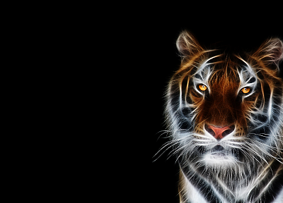 tigers, Fractalius - duplicate desktop wallpaper