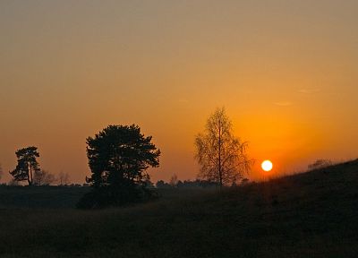 sunset, sunrise, landscapes, Sun, trees - random desktop wallpaper