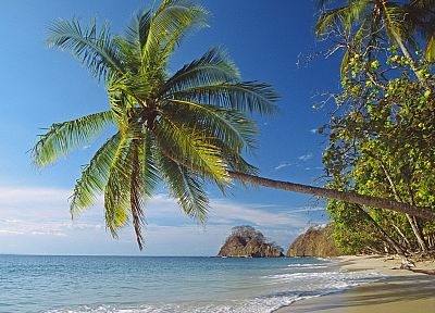 landscapes, nature, Palm Island, beaches - desktop wallpaper