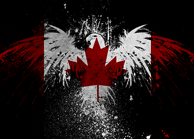 eagles, Canada, flags, Canadian flag - related desktop wallpaper