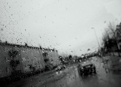 rain, cars, rain on glass - random desktop wallpaper