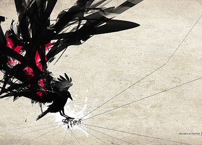 crows - random desktop wallpaper