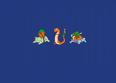 Pokemon, Bulbasaur, turtles, Squirtle, lizards, frogs, Charmander - desktop wallpaper