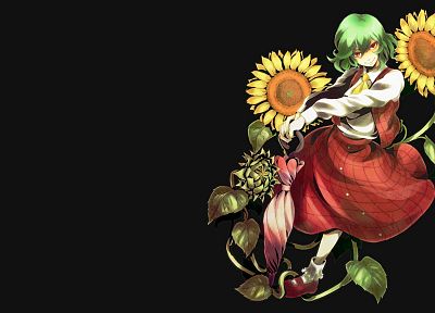 Touhou, dress, green eyes, Kazami Yuuka, simple background, anime girls - desktop wallpaper