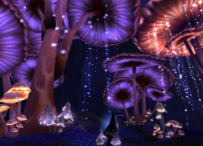 mushrooms, digital art - random desktop wallpaper