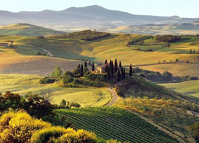 landscapes, fields, Tuscany - duplicate desktop wallpaper