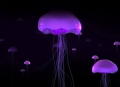 jellyfish - random desktop wallpaper