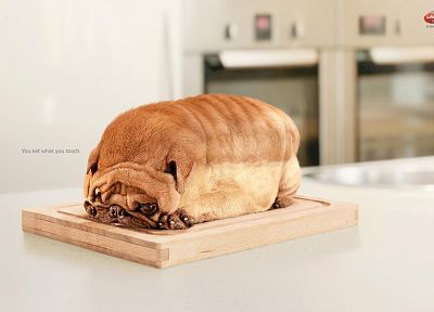 animals, dogs, bread - duplicate desktop wallpaper