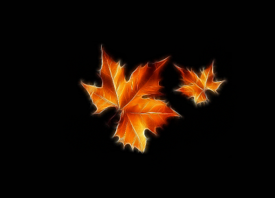 leaves, Fractalius, maple leaf - random desktop wallpaper