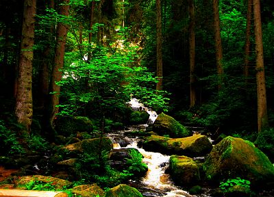 nature, trees, forests, brook, moss - related desktop wallpaper