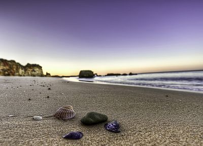 ocean, seashells, beaches - desktop wallpaper
