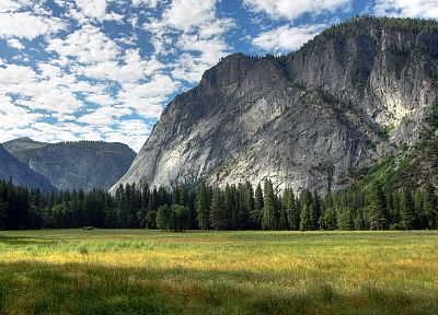 mountains, landscapes, trees, Yosemite National Park - desktop wallpaper