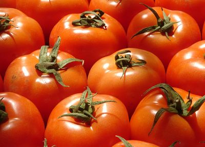 tomatoes - random desktop wallpaper