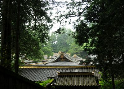 forests, rooftops, Grove, Japanese architecture - desktop wallpaper