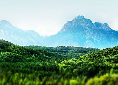 mountains, landscapes, forests, Bavaria, tilt-shift - related desktop wallpaper