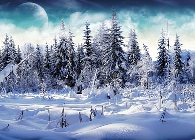 landscapes, nature, winter, snow, trees - related desktop wallpaper