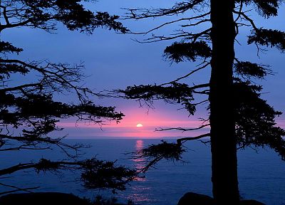 sunrise, Maine, National Park - random desktop wallpaper