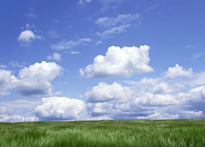 clouds, meadows, skyscapes - duplicate desktop wallpaper