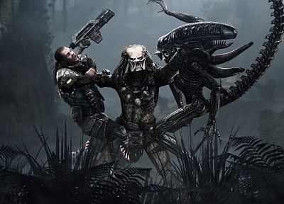Aliens vs Predator movie - random desktop wallpaper