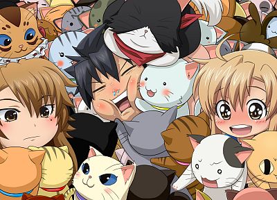 cats, Nyan Koi, Mizuno Kaede, Kousaka Junpei, Sumiyoshi Kanako, Nyamsus - random desktop wallpaper