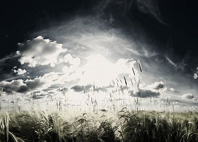 clouds, landscapes, nature - duplicate desktop wallpaper