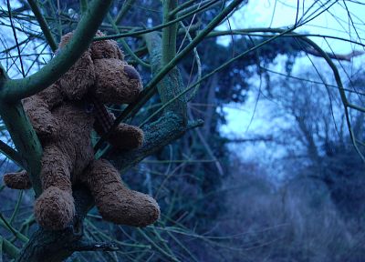 trees, teddy bears - random desktop wallpaper
